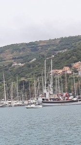 IMG-20210713-WA0059