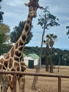 IMG-20240526-WA0034