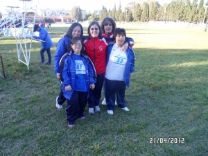 SAM 0433